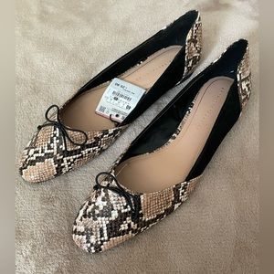 Zara Ballet Flats